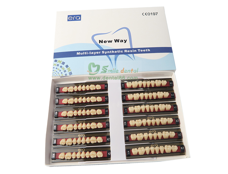 R101 Three Layer Acrylic Resin Teeth